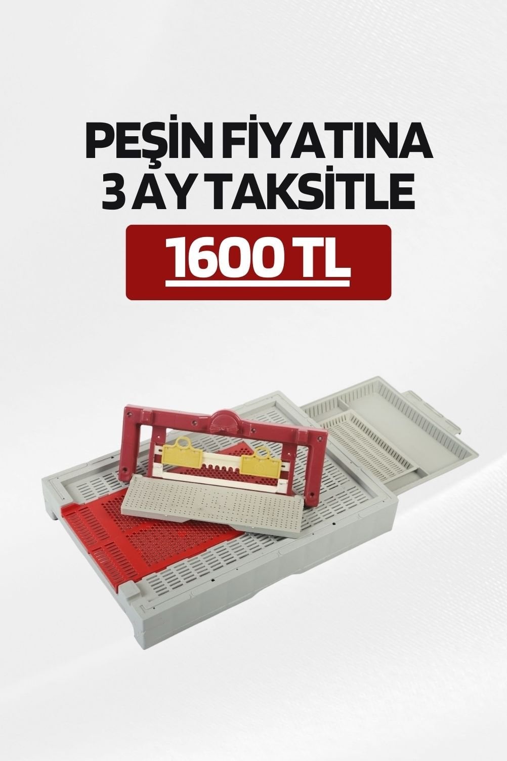 EN SAĞLAM TABAN